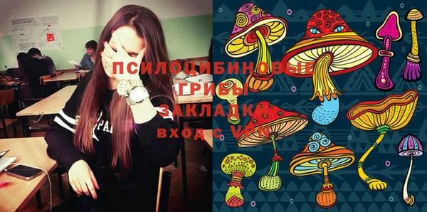 прущая мука Горно-Алтайск