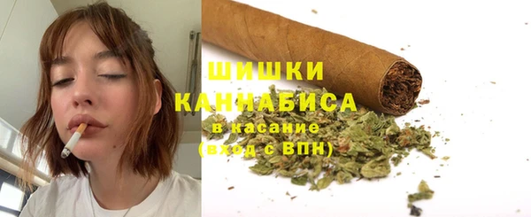 бошки Тайга