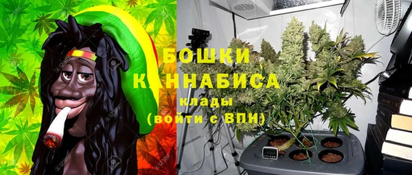 бошки Тайга
