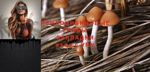 прущая мука Горно-Алтайск