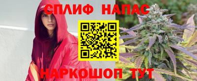 прущие грибы Пушкино