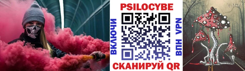 Псилоцибиновые грибы Psilocybe Тихорецк