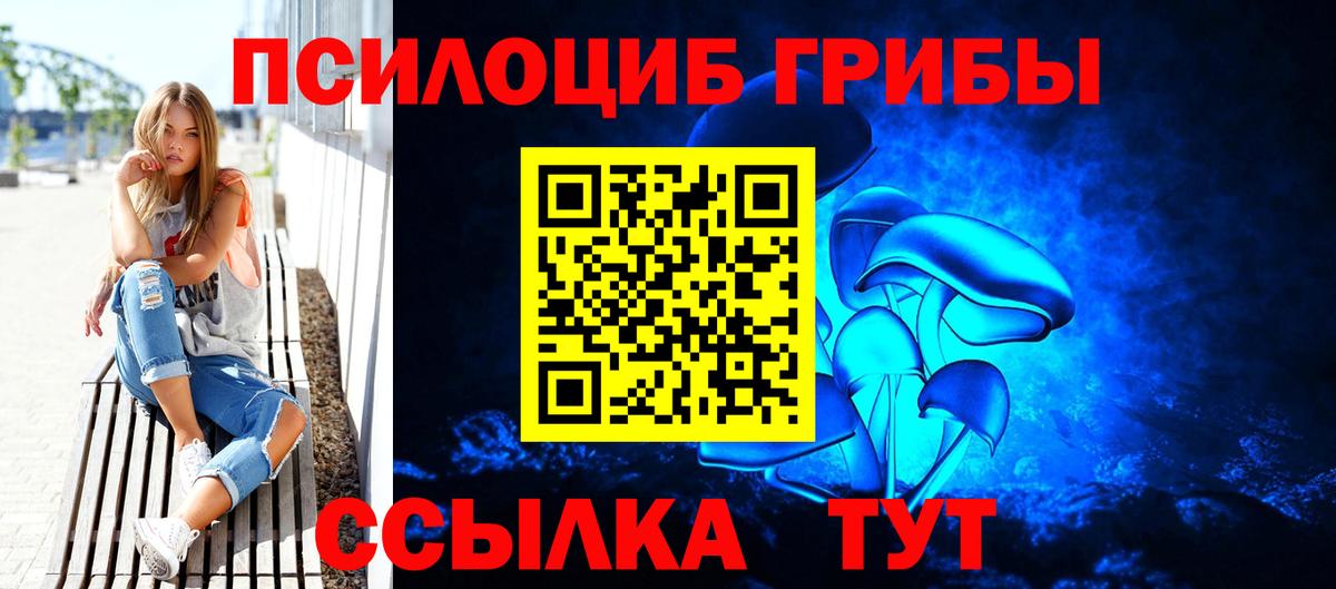 Галлюциногенные грибы мицелий  Галлюциногенные грибы Psilocybine cubensis  Вход с VPN  Тихорецк 