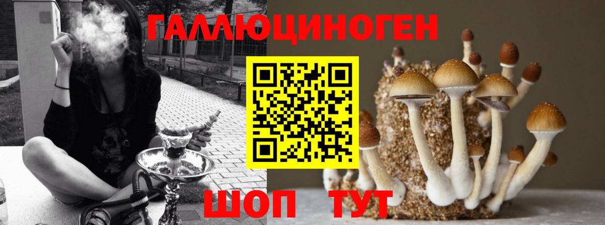 Псилоцибиновые грибы мухоморы Тихорецк